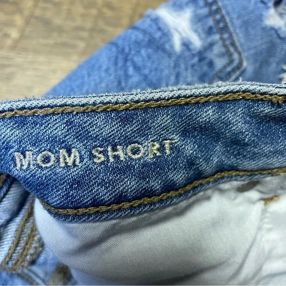 American Eagle Floral Embroidered High Rise Cut Off Mom Shorts Womens Sz 4 - Picture 9 of 11